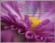 Click to display the file, item15pinkmumlordblessyou.jpg